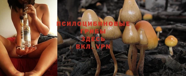 mdpv Абинск
