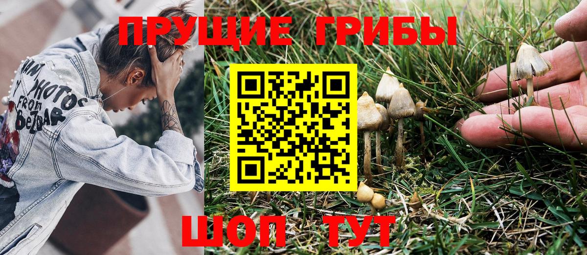 Карталы  Псилоцибиновые грибы Psilocybe  Вход с VPN  Псилоцибиновые грибы мухоморы 